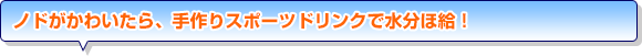 ノドがかわいたら、手作りスポーツドリンクで水分ほ給！