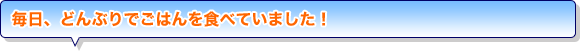 毎日、どんぶりでごはんを食べていました！