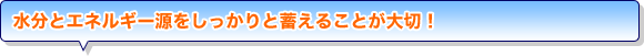 水分とエネルギー源をしっかりと蓄えることが大切！