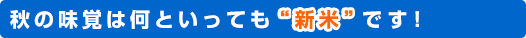 秋の味覚は何といっても“新米”です！