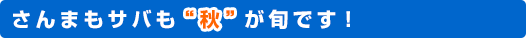 さんまもサバも“秋”が旬です！