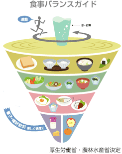 食事バランスガイド