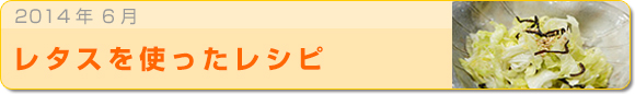 2014年6月 レタスを使ったレシピ