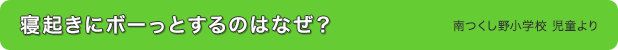 太りにくくおすすめの食べ物は？
