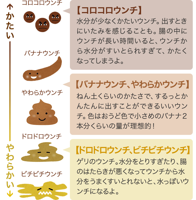 ウンチのチェック表