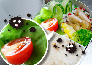 お弁当を食中毒から守ろう！