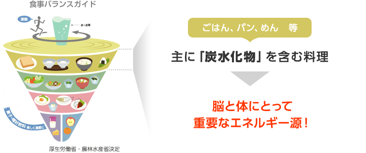 ごはん、パン、めん等は主に「炭水化物」を含む料理→脳と体にとって重要なエネルギー源！