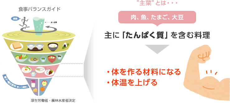“主菜”とは・・・肉、魚、たまご、大豆　主に「たんぱく質」を含む料理→・体を作る材料になる・体温を上げる