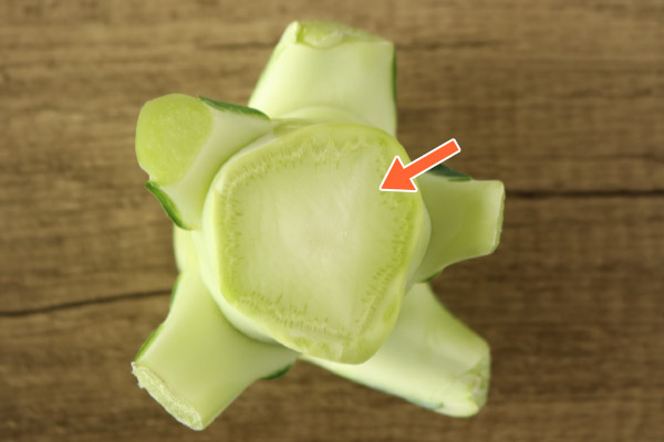 ブロッコリーの茎部分