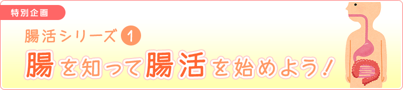 腸活シリーズ①腸を知って腸活を始めよう！