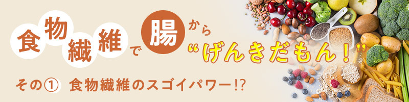 食物繊維で腸から“げんきだもん！” その①　食物繊維のスゴイパワー！？
