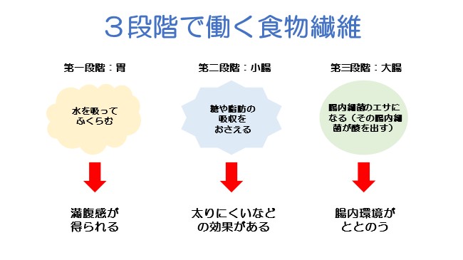 図2