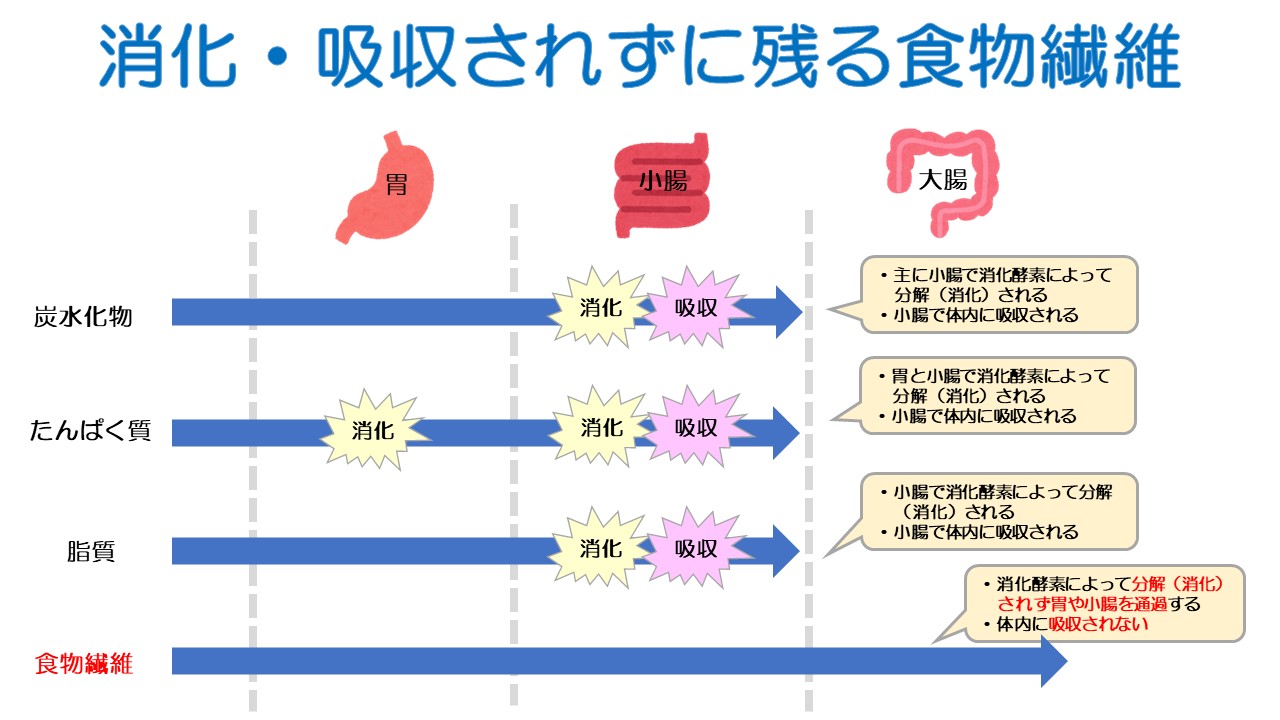 図1