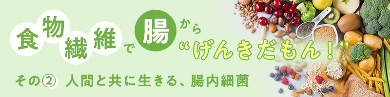 食物繊維で腸から“げんきだもん！” その②　人間と共に生きる、腸内細菌