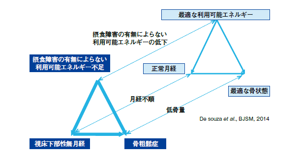 女性アスリートが陥りやすい３つの傷害（Female Atlete Traid）